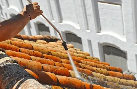 Démoussage de toiture à Saujon